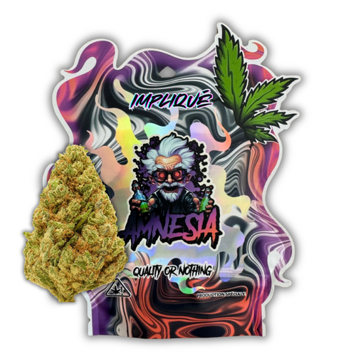 AMNESIA ΔX