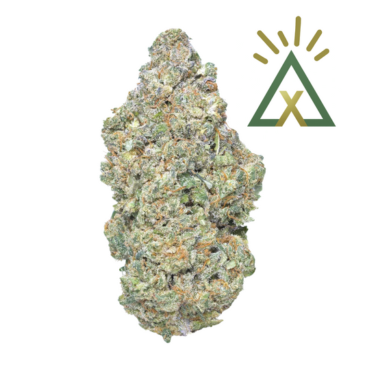 AMNESIA ΔX