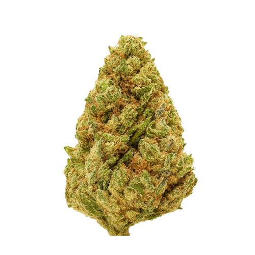 AMNESIA ΔX
