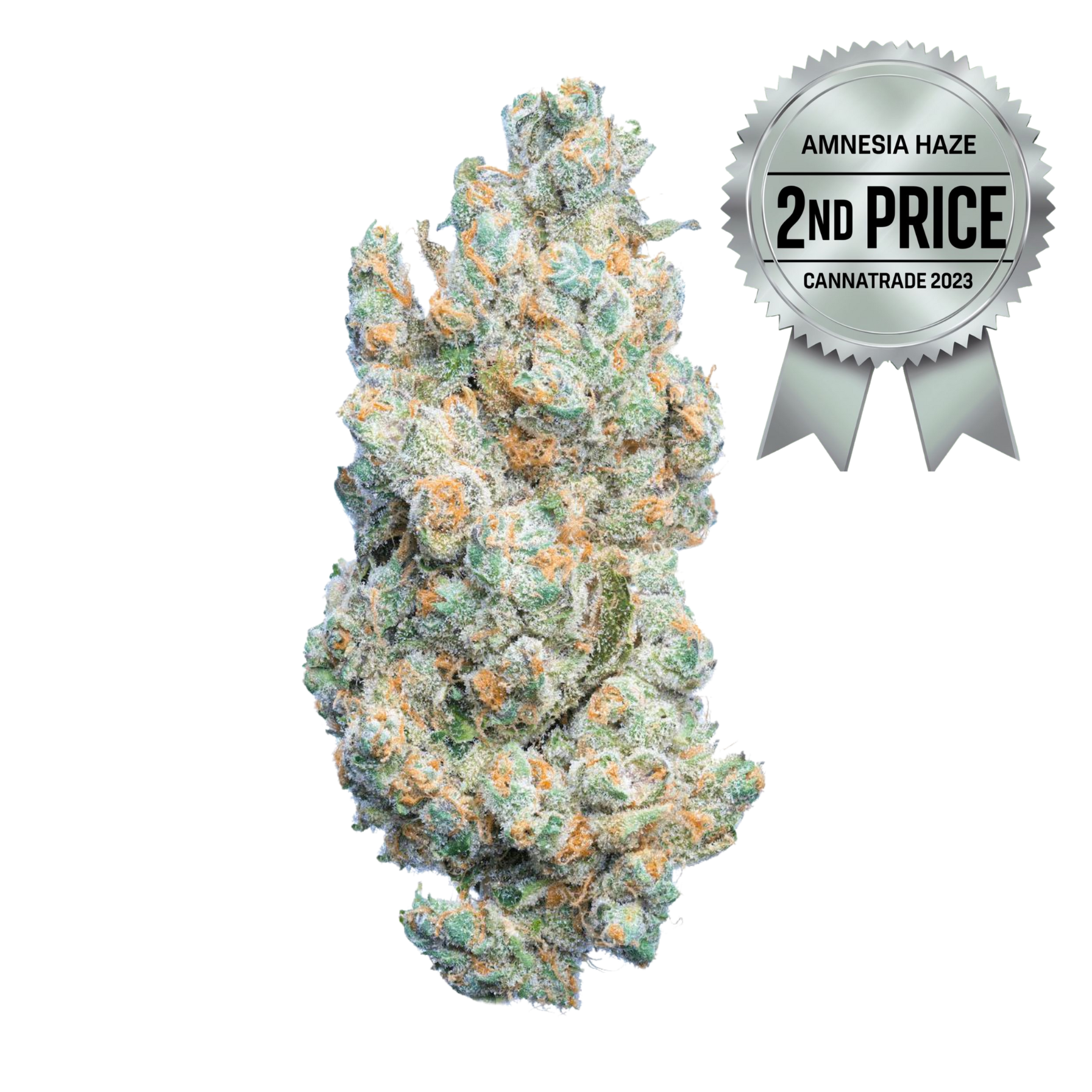 AMNESIA CBD