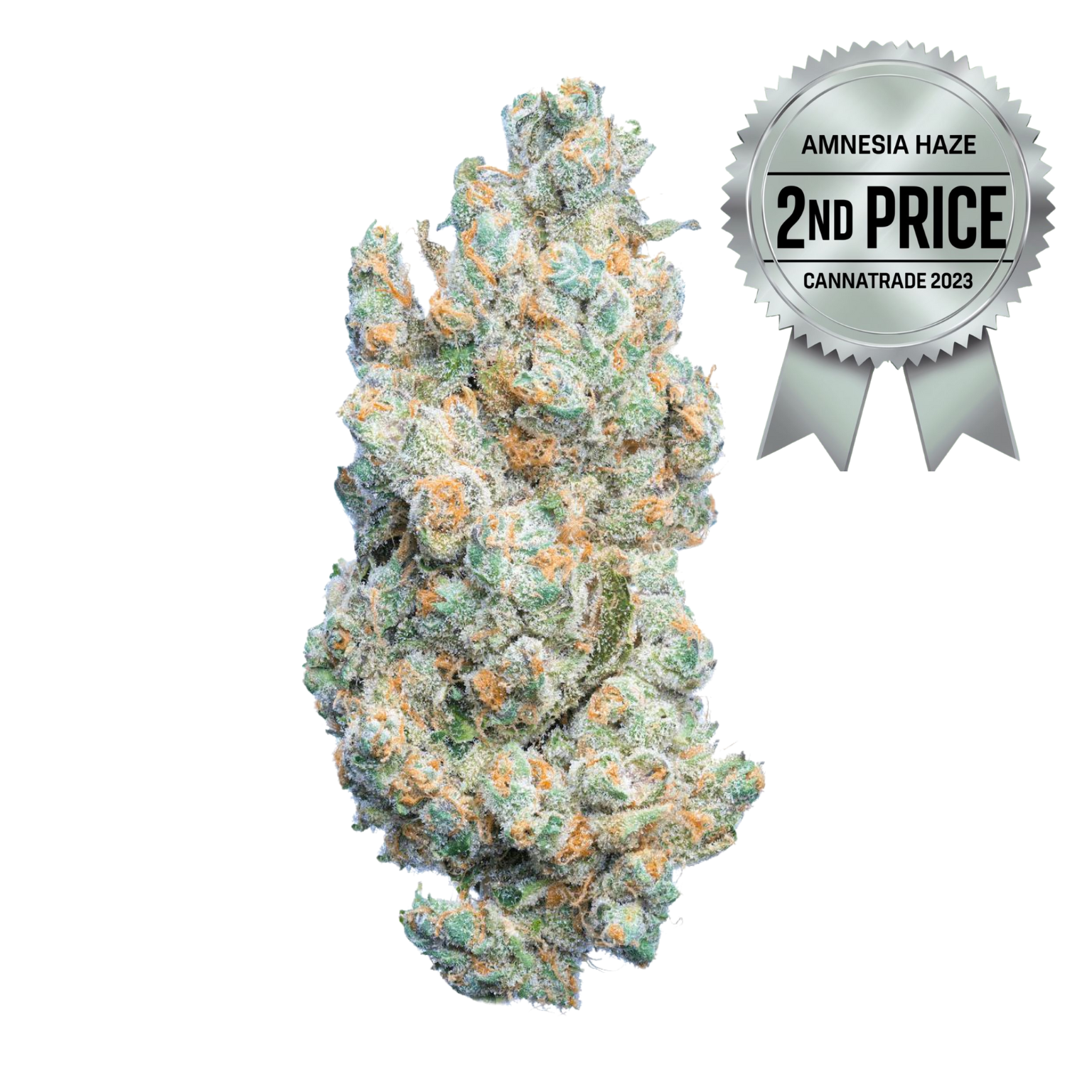 AMNESIA CBD