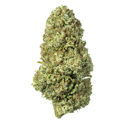 G-13 CBD